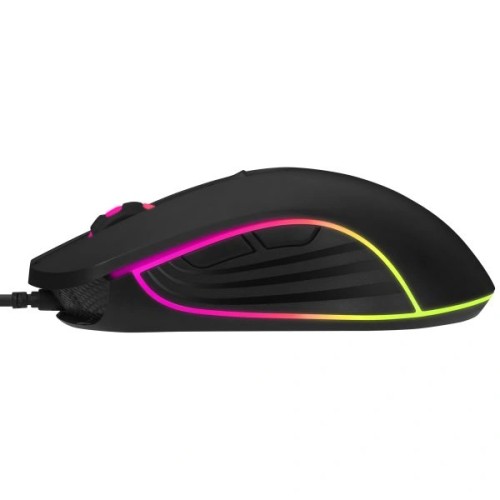 Souris Gamer