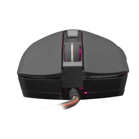 Souris