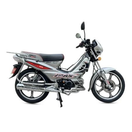 Motocycle FORZA FIRST MOTORS 124CC | GRIS