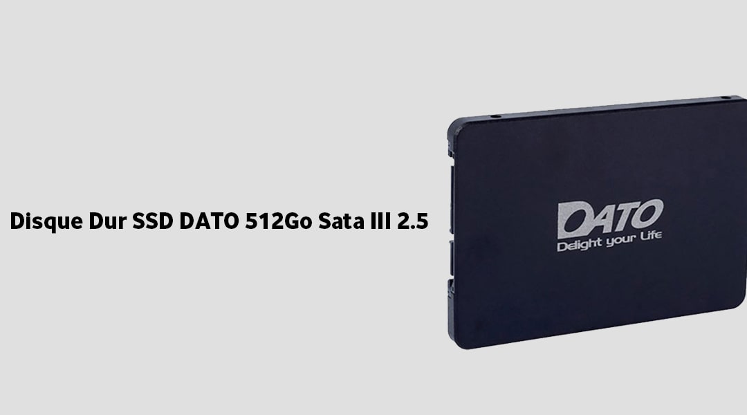 DISQUE DUR SSD INTERNE DATO 512GO M2 PCI-E 2500 NVME