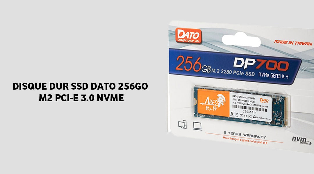 prix DISQUE DUR SSD DATO 256GO M2 PCI-E 3.0 NVME Tunisie